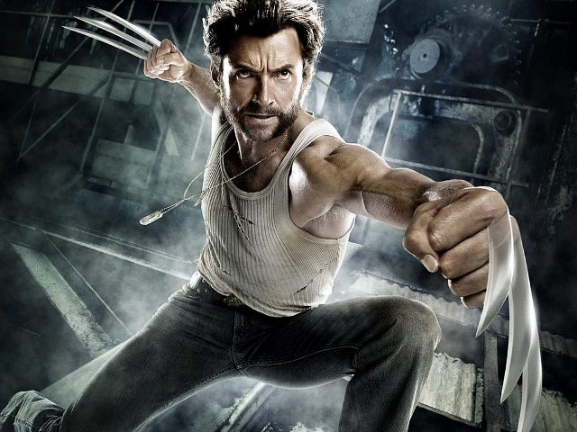 the wolverine