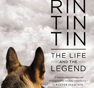 rin-tin-tin