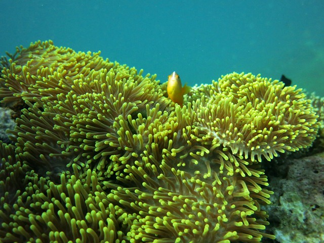 Pulau Sebaru