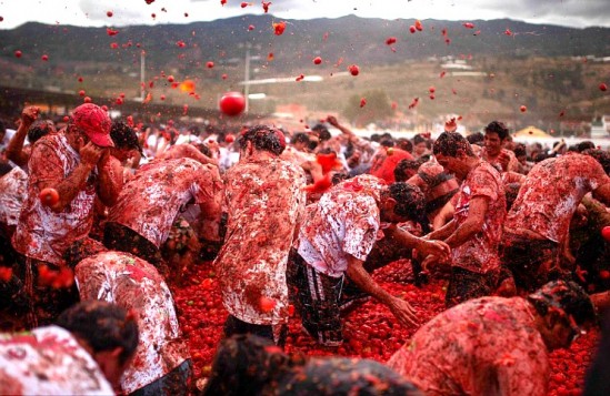 Tomatina Festival